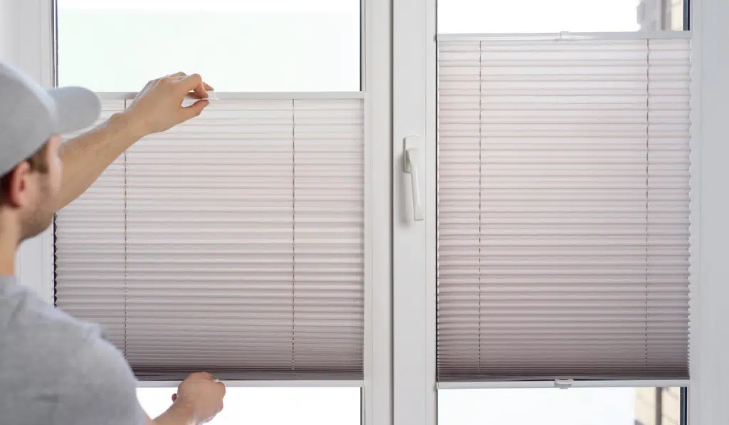 pleated blinds